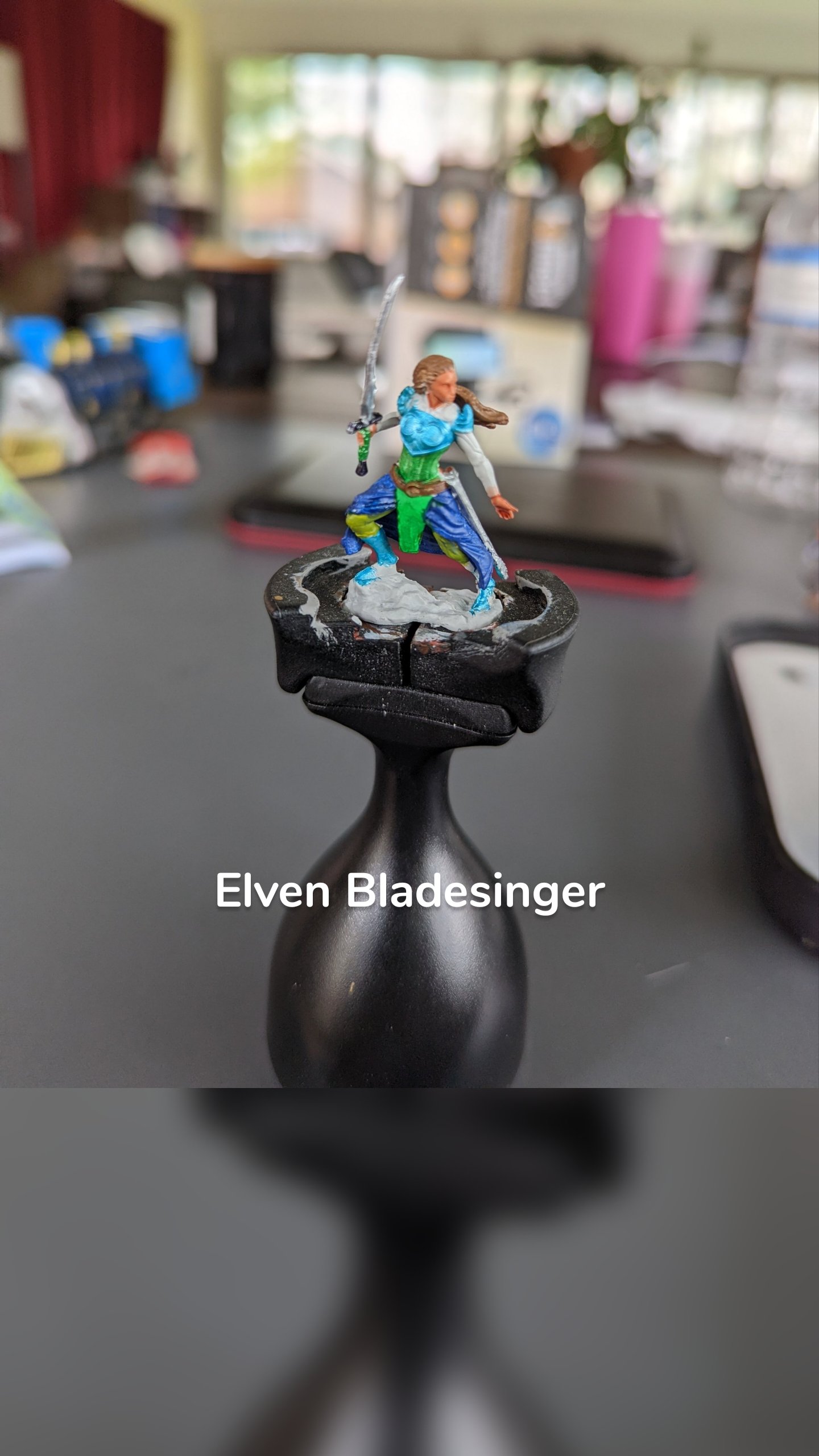 Elven Bladesinger